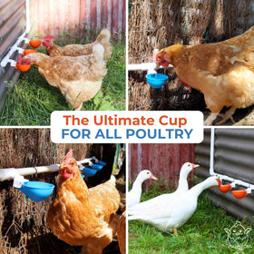 Lil'Clucker coop-enclosure-compatibility fits most coops and enclosures.