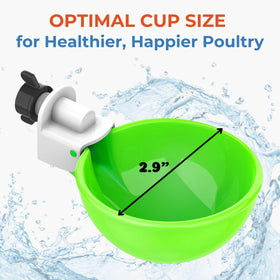 Lil'Clucker ducks accessing water easily from large cups