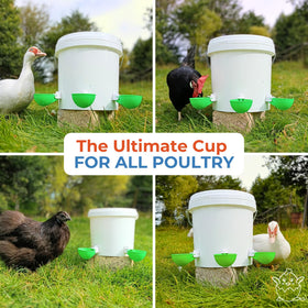 Lil'Clucker easy-clean design for busy farm maintenance