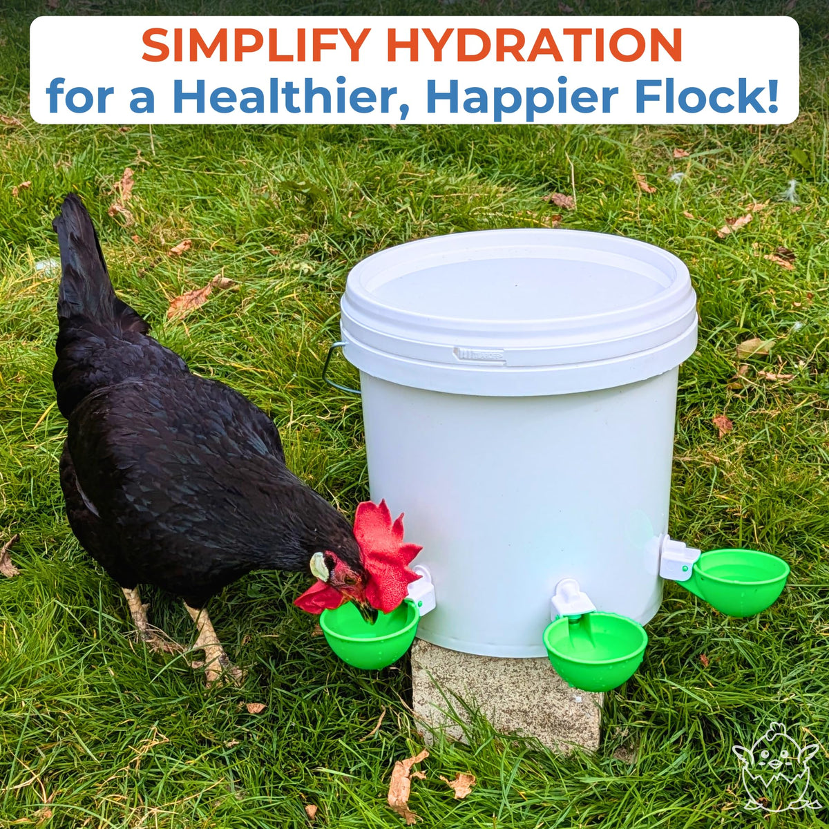 Lil'Clucker five-gallon waterer setup ready for coop use