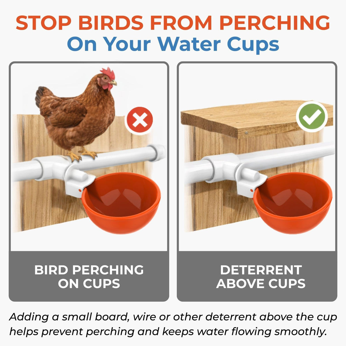 Lil'Clucker happy-flock-hydration supported by a dependable waterer system.