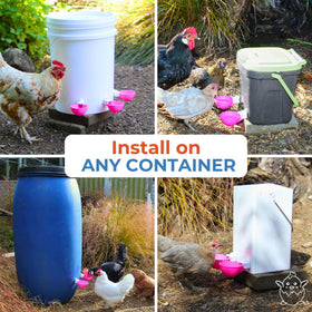Lil'Clucker heavy-duty waterer cups – built to last in demanding poultry spaces.