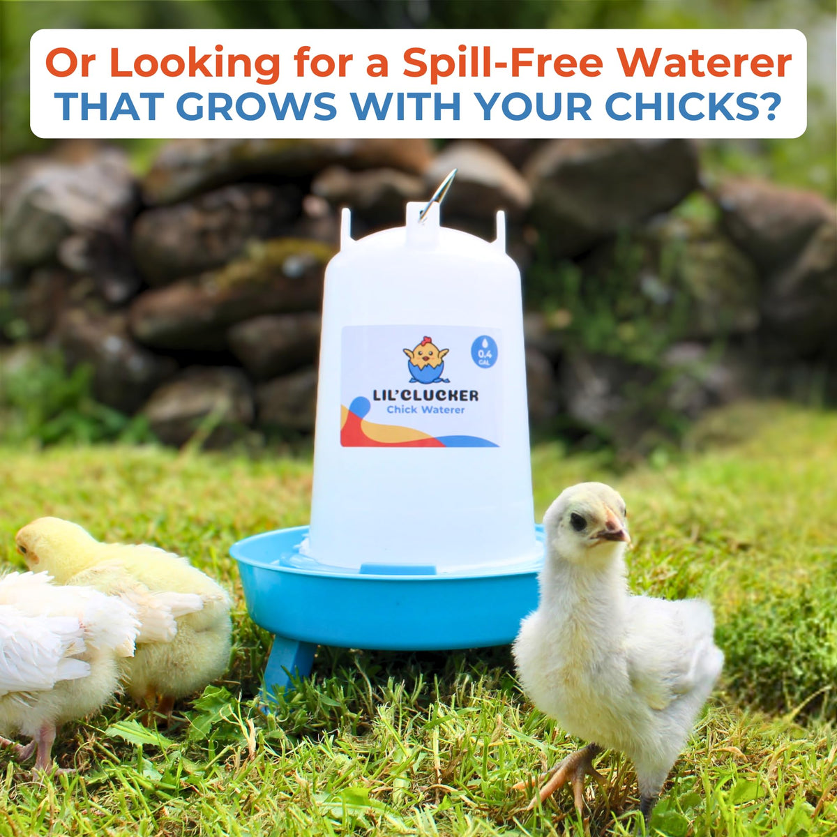 Lil'Clucker No-Waste Holes — reduces spill and coop mess.
