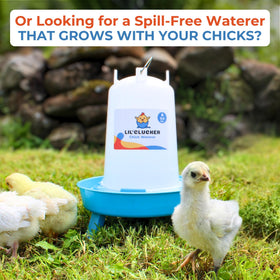 Lil'Clucker No-Waste Holes — reduces spill and coop mess.