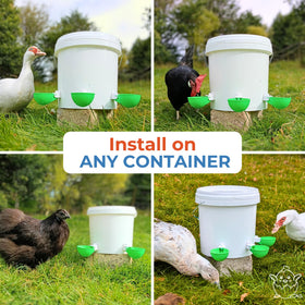 Lil'Clucker waterer supports rabbits and cats with accessible hydration