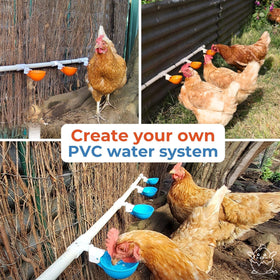 Lil'Clucker three-inch-diameter-waterer-cup provides easy access for flock members.