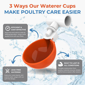 Lil'Clucker time-saving poultry waterer design reduces daily refill checks.