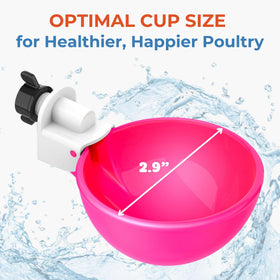 Lil'Clucker waterer cups – versatile for ducks and geese in busy coops.