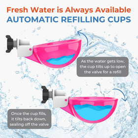 Lil'Clucker pink cups highlight the 3 inch diameter for easy drinking