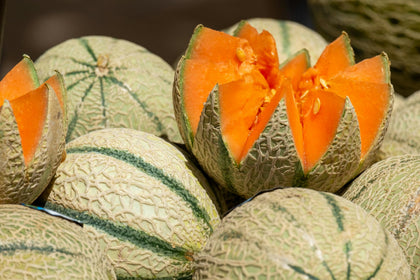 Liliana's Garden Charentais melon fruit close-up showing blue-green rind and orange flesh for tasting