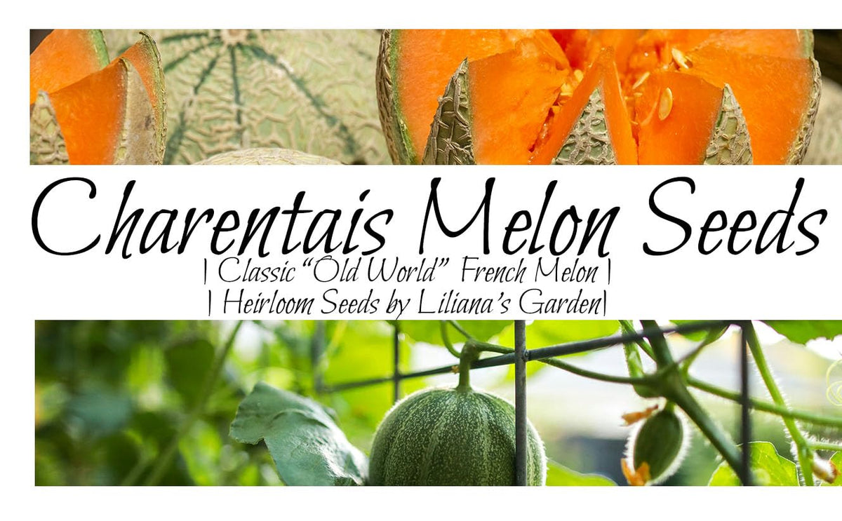 Liliana's Garden Charentais melon seeds packet with growing tips for home gardeners