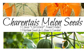 Liliana's Garden Charentais melon seeds packet with growing tips for home gardeners
