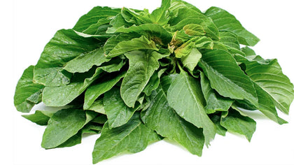 Liliana's Garden Green Leaf amaranth seeds front label, open-pollinated and non-GMO heirloom variety.