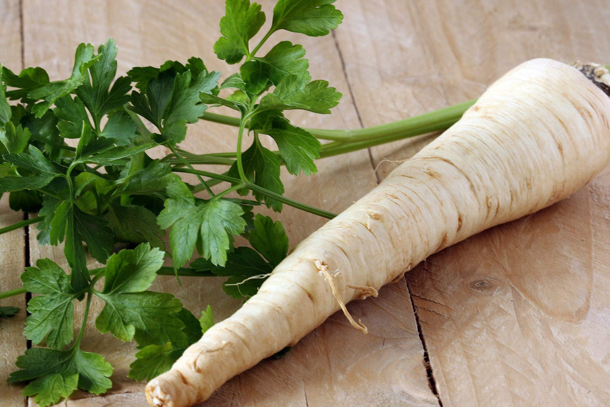 Liliana's Garden Hamburg Rooted parsley taproot and greens ready for cooking.