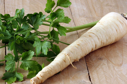 Liliana's Garden Hamburg Rooted parsley taproot and greens ready for cooking.