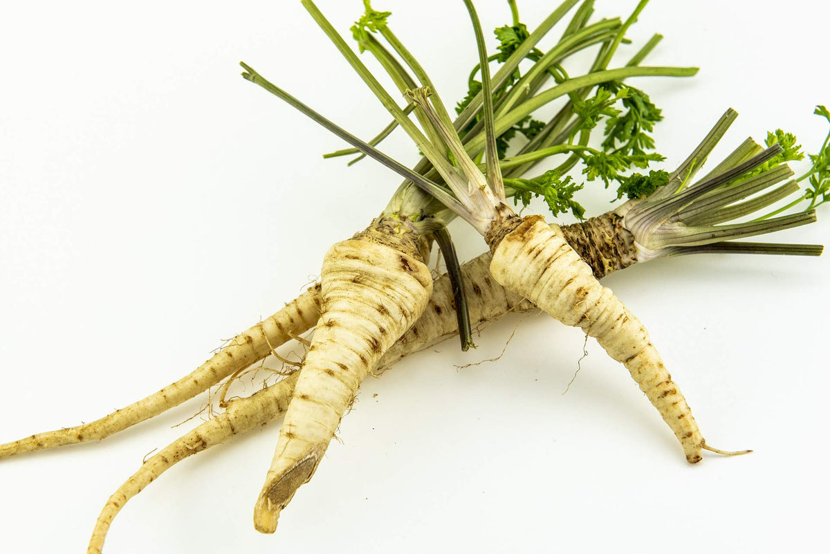 Hamburg Rooted parsley tops with edible taproot, ideal for flavorful meals.