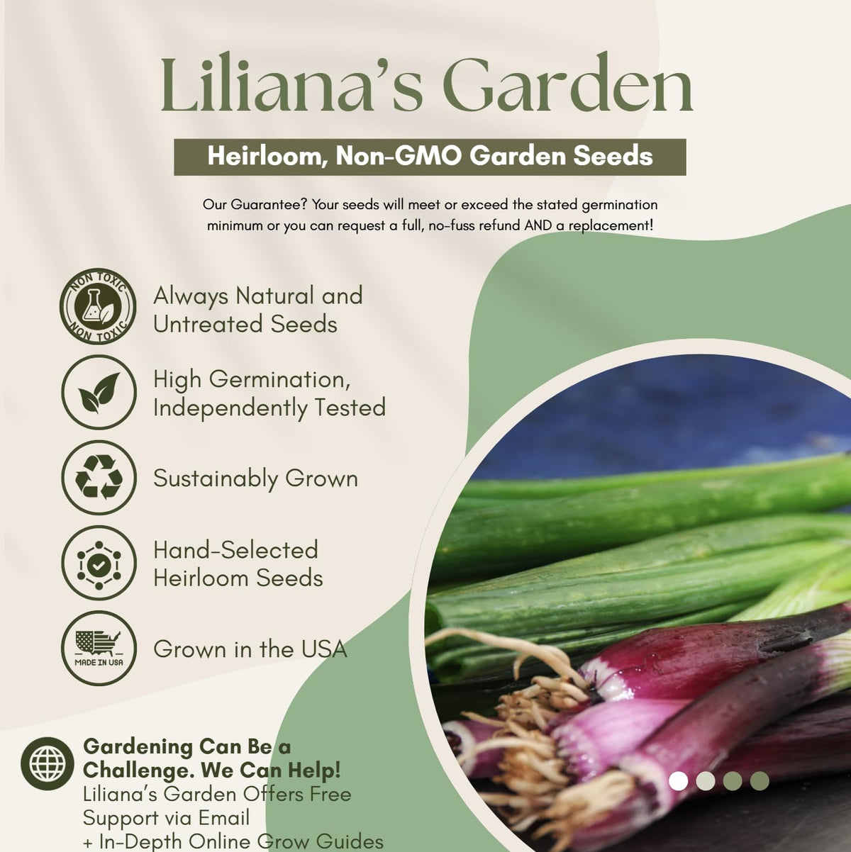 Liliana's Garden Lillia planted in a container for small-space gardening.