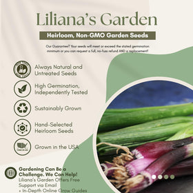 Liliana's Garden Lillia planted in a container for small-space gardening.