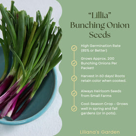 Liliana's Garden Lillia green stalks with violet-red bulbs add color to dishes.