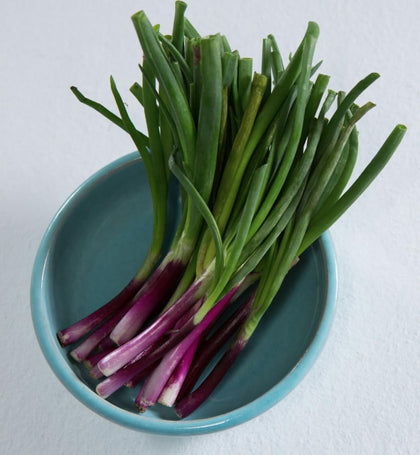 Liliana's Garden Lillia seed packet shows easy-to-grow seeds for balcony gardens.