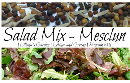 Liliana's Garden Mesclun Mix seeds showing baby leaves ready for fresh salads.
