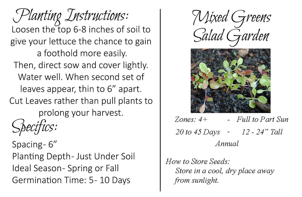 Liliana's Garden Mesclun Mix seeds suited for container gardening in small spaces.