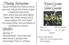 Liliana's Garden Mesclun Mix seeds suited for container gardening in small spaces.