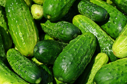 Liliana's Garden Space Master 80 seeds—compact cucumber ideal for balcony containers.