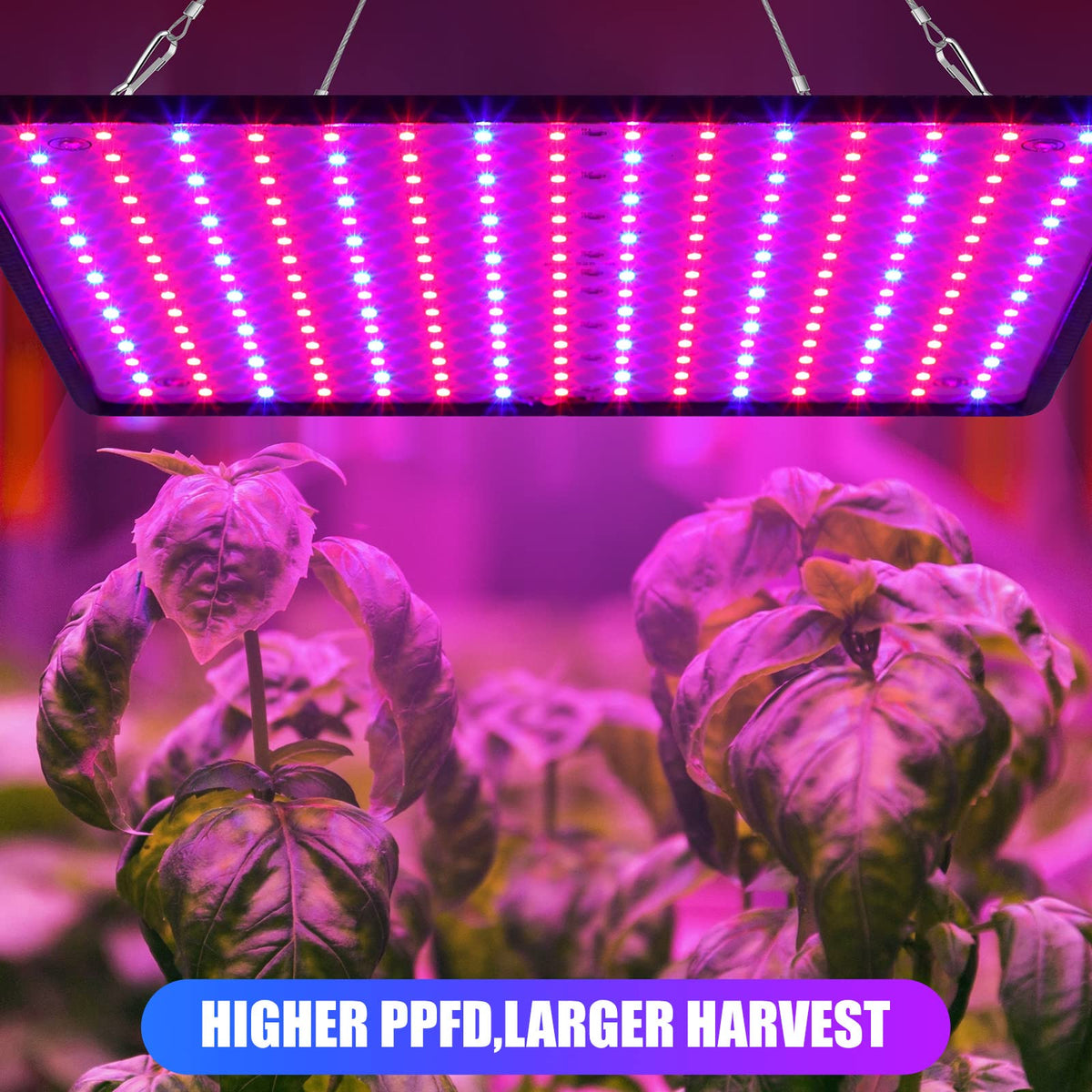 Liliful plug in design enables quick setup without tools