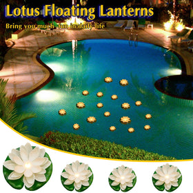 Liliful water-activated lotus light demonstrates effortless glow when placed in water.