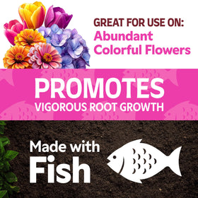 Lilly Miller Alaska MorBloom concentrate pour demonstrates easy garden feeding for flowering plants.