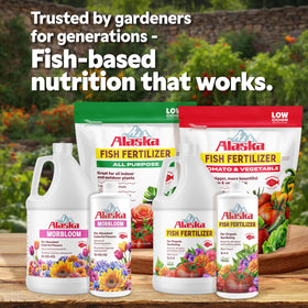 Lilly Miller Alaska MorBloom fish-based formula highlights natural garden nutrition.