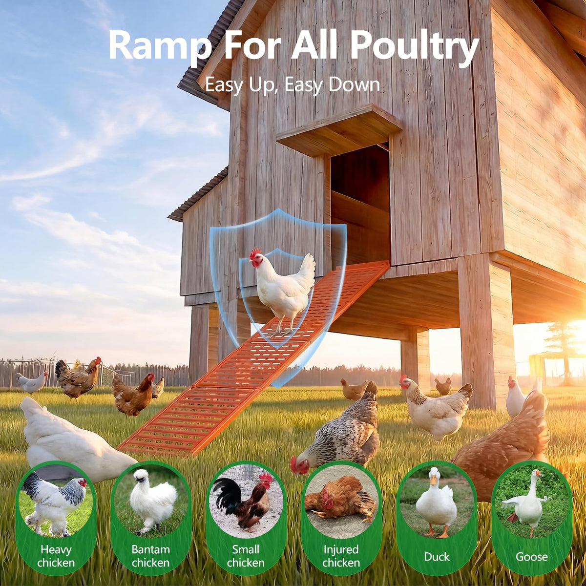 Lilyang chicken coop ramp with non-slip textured surface for secure footing