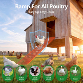 Lilyang chicken coop ramp with non-slip textured surface for secure footing
