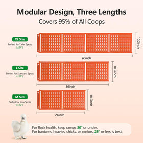 Lilyang coop door access with gentle slope supports healthy movement.