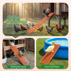 Lilyang duck pool ramp enables cross-species use around water.