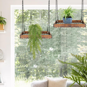 Lilybud window-side display plant hanger keeping plants accessible to sunlight.