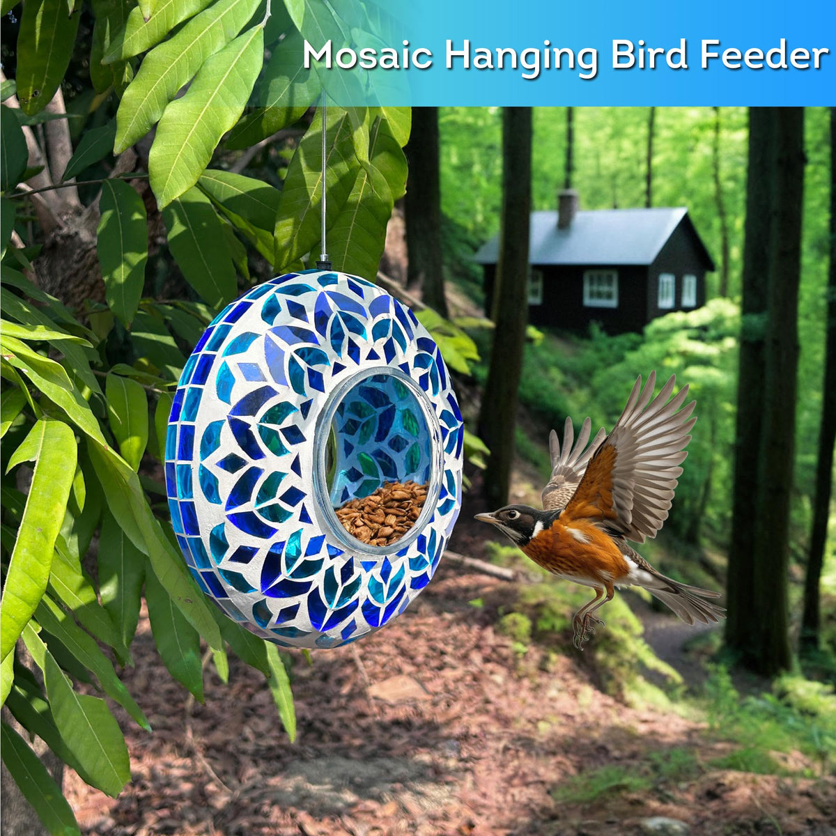 Lily's Home view-friendly feeder lets you watch feeding from indoors through a window.