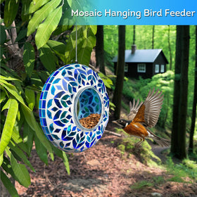 Lily's Home view-friendly feeder lets you watch feeding from indoors through a window.