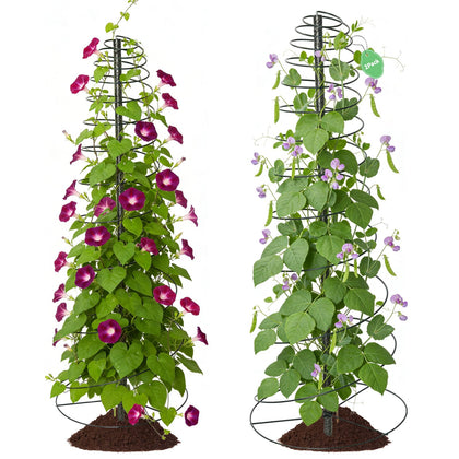 Lilyvane Trellis spiral frame with center pole supports climbing beans and cucumbers.