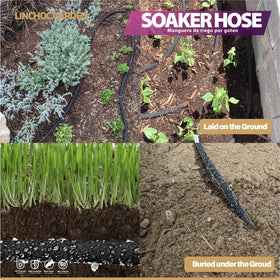 LINCHOC GARDEN eco-friendly watering reduces waste and supports drought resilience.
