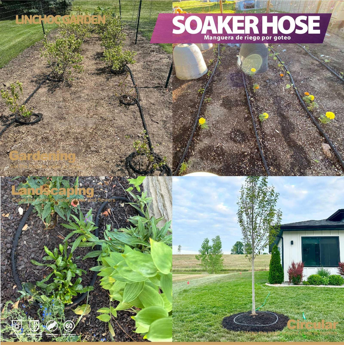 LINCHOC GARDEN hose laid near plant roots for deeper moisture delivery.