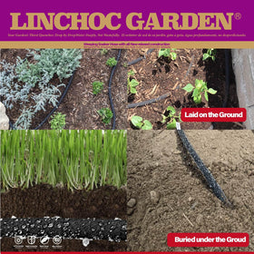 LINCHOC GARDEN root-zone watering highlighting deep soil moisture delivery