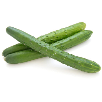 Lindsay Seed Shintokiwa cucumber 9-12 inch harvest ideal for salads and sushi.