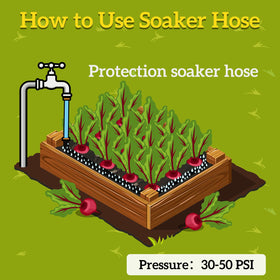 LINEX hose connectors shown for quick, secure setup