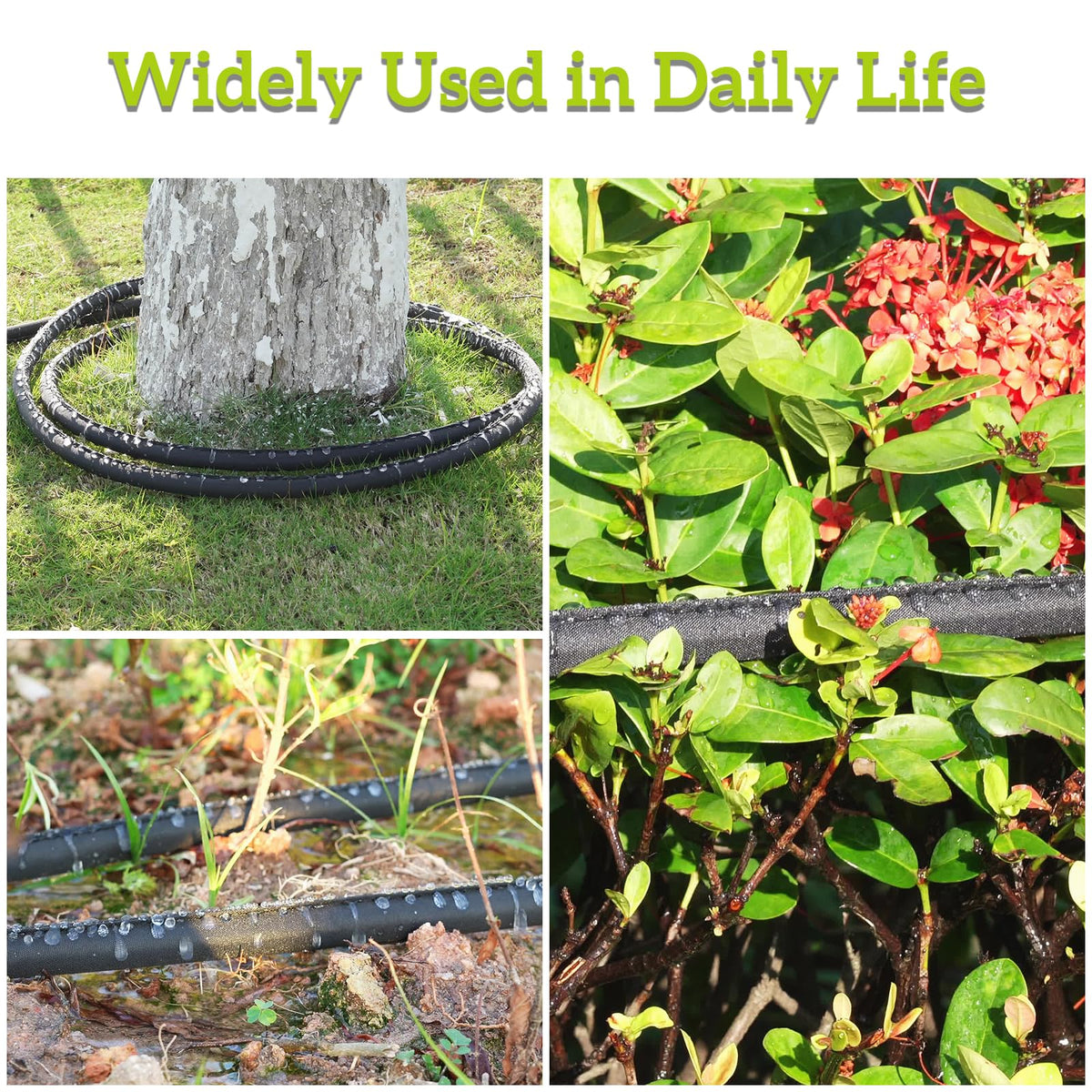 LINEX two-pack flat hoses for vegetable gardens