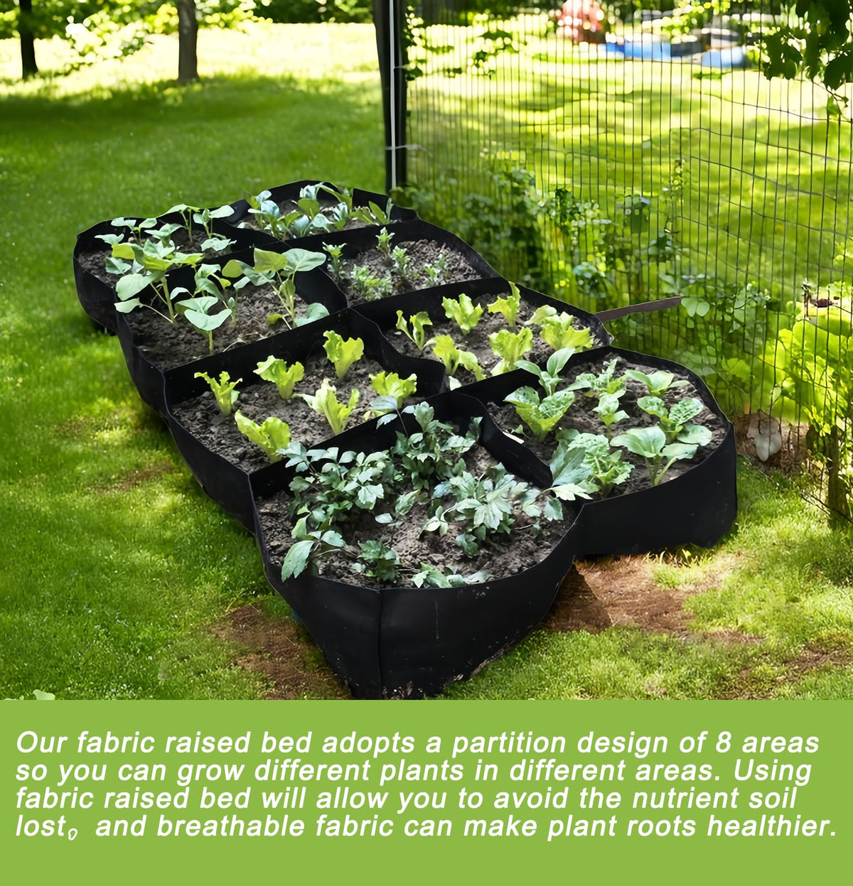 Linksandt fabric bed illustrating drainage and aeration for healthy growth