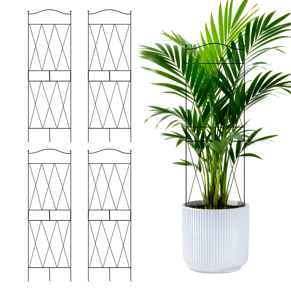Linyona 32-inch trellis curved-top supports vertical growth for pothos and monstera.
