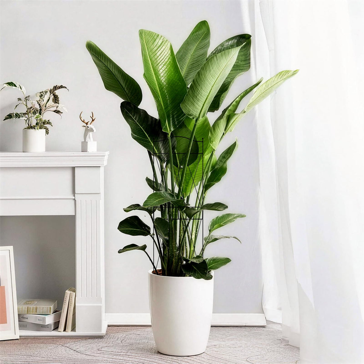 Linyona modern decorative design elevates plant displays on patio or shelf.