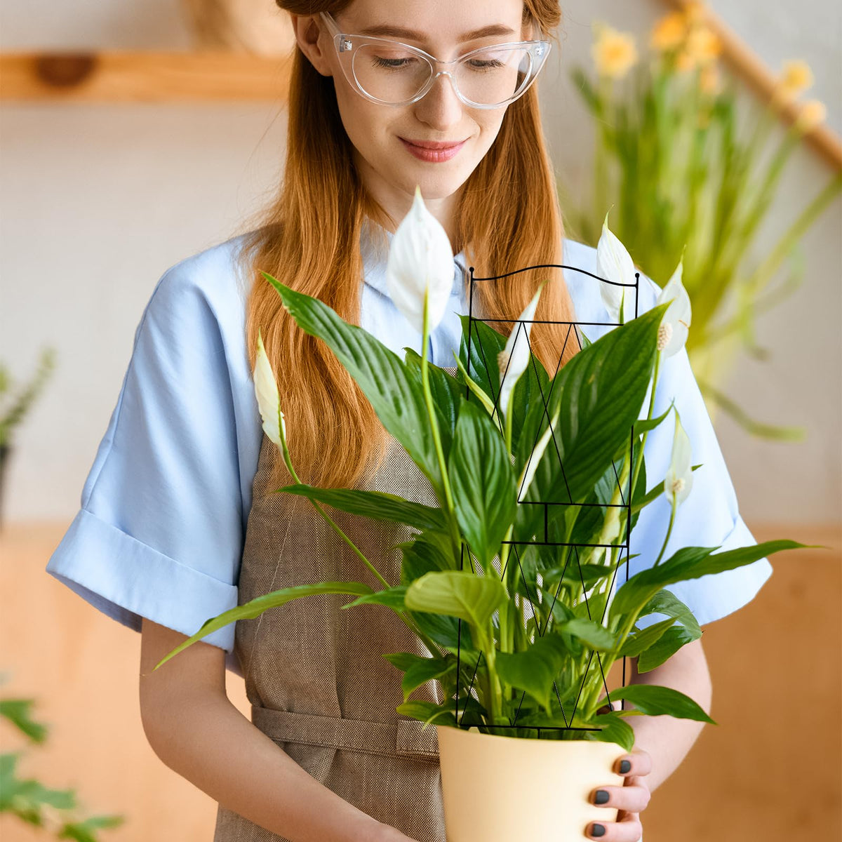 Linyona pothos monstera ivy support keeps vines tidy and organized.